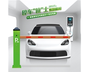莒南RG-CW系列车位小道闸